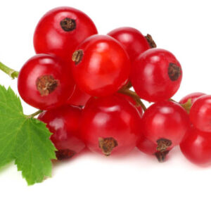 Redcurrants